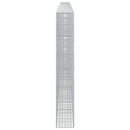 Gabion med 3,5 mm Tråd og 5x5 cm Maske 800x30x200 cm