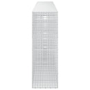 Gabion med 3,5 mm Tråd og 5x5 cm Maske 800x50x150 cm
