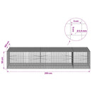 Gabion med 3,5 mm Tråd og 5x5 cm Maske 250x100x50 cm