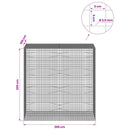 Gabion med 3,5 mm Tråd og 5x5 cm Maske 200x100x200 cm