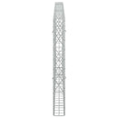 Gabion med 3,5 mm tråd og 5x10 cm mesh 250x10x100 cm