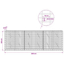 Gabion med 3,5 mm tråd og 5x10 cm mesh 300x10x100 cm