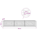 Gabion med 3,5 mm tråd og 5x10 cm mesh 300x20x50 cm