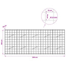 Gabion med 3,5 mm tråd og 10x10 cm net 250x10x100 cm