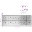 Gabion med 3,5 mm tråd og 10x10 cm net 300x10x100 cm