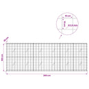 Gabion med 3,5 mm tråd og 10x10 cm net 300x20x100 cm