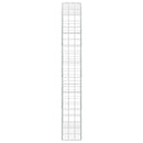 Gabion med 3,5 mm tråd og 10x10 cm net 100x30x200 cm