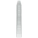 Gabion med 3,5 mm tråd og 10x10 cm net 900x30x200 cm