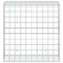 Gabion med 3,5 mm tråd og 10x10 cm net 100x50x100 cm