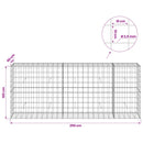 Gabion med 3,5 mm tråd og 10x10 cm net 250x50x100 cm