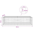 Gabion med 3,5 mm tråd og 10x10 cm net 200x100x50 cm