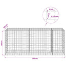 Gabion med 3,5 mm tråd og 10x10 cm net 250x100x100 cm