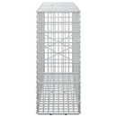 Gabion med 5 mm Tråd og 5x2,5 cm Maske 100x20x50 cm