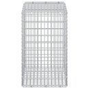 Gabion med 5 mm tråd og 5x2,5 cm net 50x30x50 cm