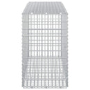 Gabion med 5 mm Tråd og 5x2,5 cm Maske 100x30x50 cm