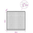 Gabion med 5 mm tråd og 5x2,5 cm net 100x30x100 cm