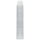 Gabion med 5 mm tråd og 5x2,5 cm net 500x30x150 cm