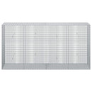 Gabion med 5 mm tråd og 5x2,5 cm net 200x50x100 cm