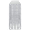 Gabion med 5 mm tråd og 5x2,5 cm net 350x50x100 cm