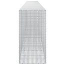 Gabion med 5 mm tråd og 5x2,5 cm net 600x50x100 cm