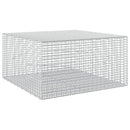 Gabion med 5 mm tråd og 5x2,5 cm net 100x100x50 cm