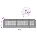Gabion med 5 mm tråd og 5x2,5 cm net 250x100x50 cm