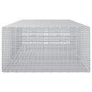Gabion med 5 mm tråd og 5x2,5 cm net 300x100x50 cm
