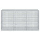 Gabion med 5 mm tråd og 5x2,5 cm net 300x100x150 cm