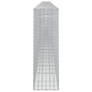 Gabion med 5 mm Tråd og 5x5 cm Maske 1000x30x100 cm