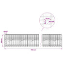 Gabion med 5 mm tråd og 5x10 cm net 750x10x50 cm
