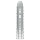 Gabion med 5 mm tråd og 5x10 cm net 650x20x100 cm