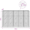 Gabion med 5 mm tråd og 5x10 cm net 250x20x150 cm