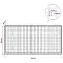 Gabion med 5 mm Tråd og 5x10 cm Maske 200x30x100 cm