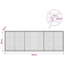 Gabion med 5 mm Tråd og 5x10 cm Maske 300x30x100 cm
