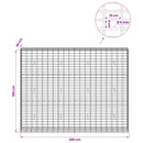 Gabion med 5 mm Tråd og 5x10 cm Maske 200x30x150 cm