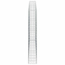Gabion med 5 mm Tråd og 5x10 cm Maske 100x30x200 cm