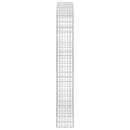 Gabion med 5 mm tråd og 5x10 cm net 250x30x200 cm