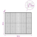 Gabion med 5 mm tråd og 5x10 cm net 250x30x200 cm