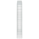 Gabion med 5 mm Tråd og 5x10 cm Maske 300x30x200 cm