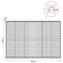 Gabion med 5 mm Tråd og 5x10 cm Maske 300x30x200 cm