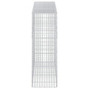 Gabion med 5 mm tråd og 5x10 cm net 250x50x150 cm