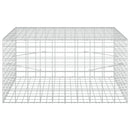 Gabion med 5 mm tråd og 5x10 cm net 100x100x50 cm