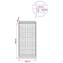 Gabion med 5 mm tråd og 5x10 cm net 100x100x200 cm