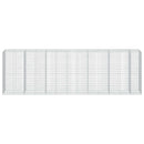 Gabion med 5 mm tråd og 5x10 cm net 650x100x200 cm
