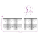 Gabion med 5 mm Tråd og 10x10 cm Net 900x10x100 cm