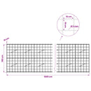 Gabion med 5 mm Tråd og 10x10 cm Net 1000x10x100 cm