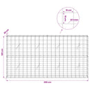Gabion med 5 mm Tråd og 10x10 cm Net 200x20x100 cm