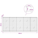 Gabion med 5 mm Tråd og 10x10 cm Net 250x20x100 cm