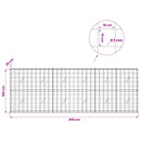 Gabion med 5 mm Tråd og 10x10 cm Net 300x20x100 cm