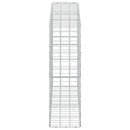 Gabion med 5 mm Tråd og 10x10 cm Net 200x30x100 cm